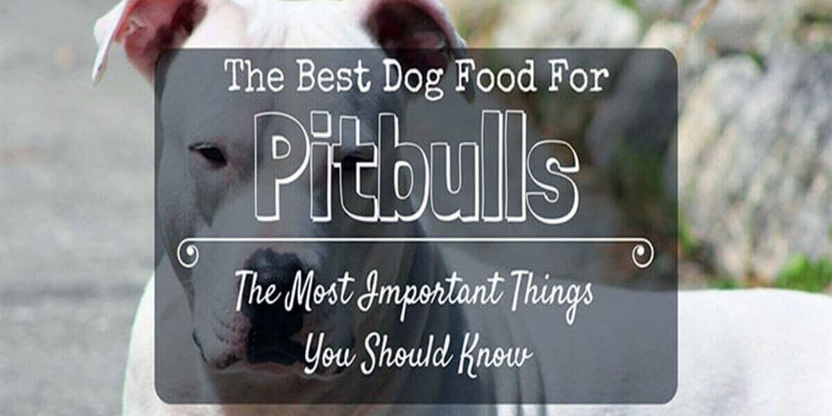 best dog food for Pitbulls