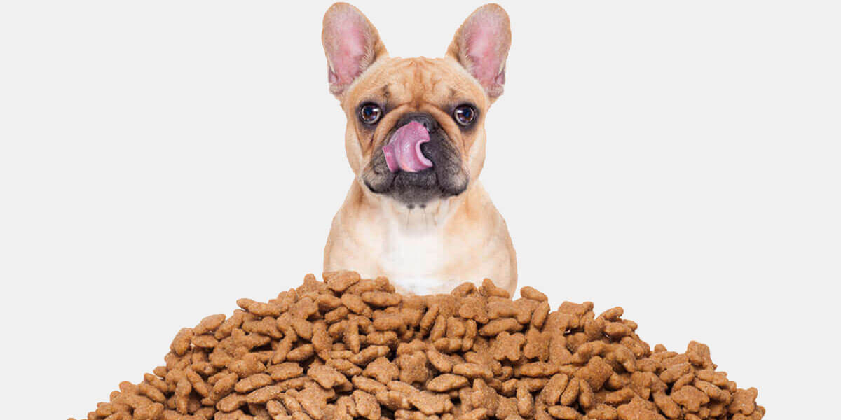 Best Dog Food For Pitbulls With Skin Allergies