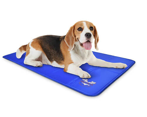 best rated dog cooling pad, best dog cooling mat